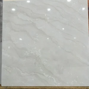 img20171128142221-500x500